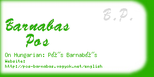 barnabas pos business card